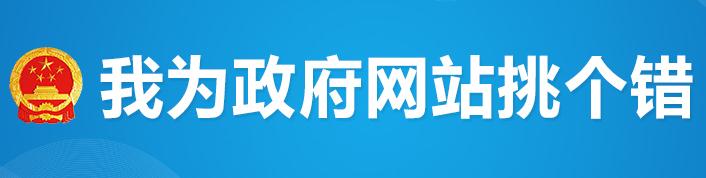 广西我为政府网找错图标